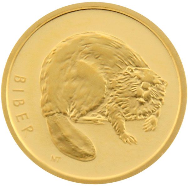 1/8 Oz Gold - 20 Euro Deutschland 2024 - Rückkehr der Wildtiere: Biber