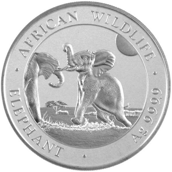 10 Oz Silber - Somalia - Elefant 2024