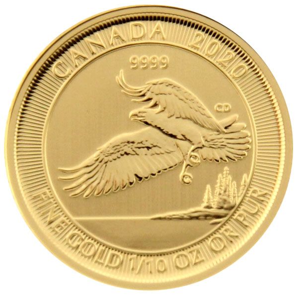 1/10 Oz Gold - Kanada - Weißkopfseeadler 2020