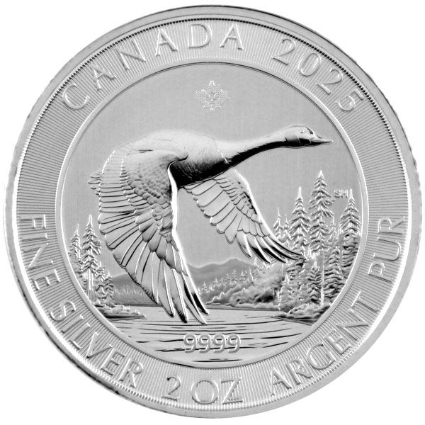 2 Oz Silber - Kanada - Wildgans 2025