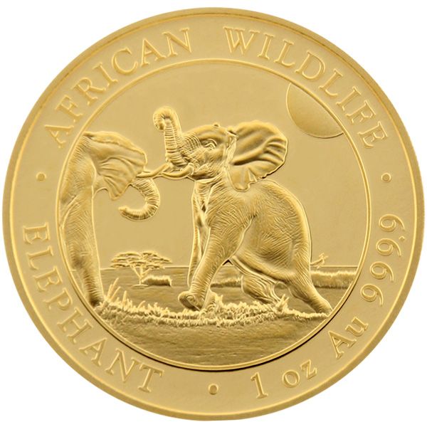 1 Oz Gold - Somalia - Elefant 2024