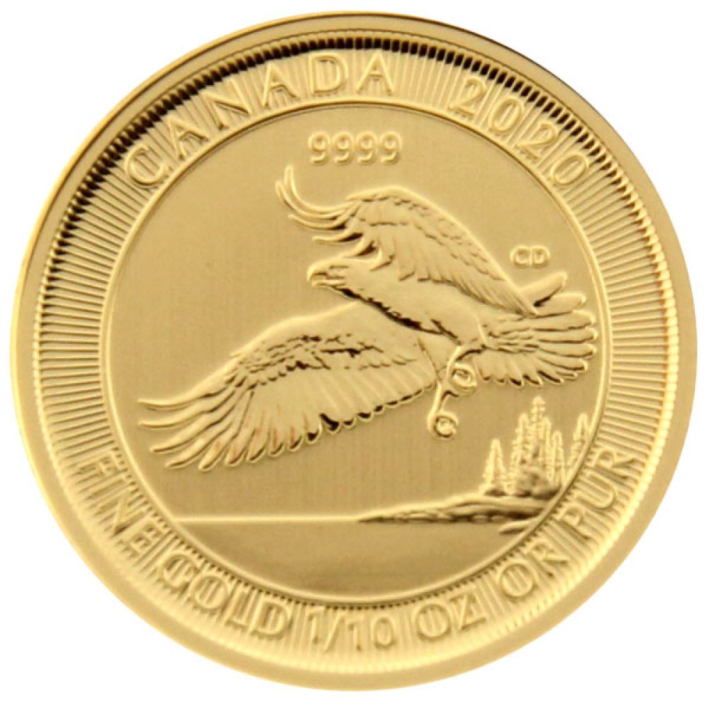 1/10 Oz Gold - Kanada - Weißkopfseeadler 2020